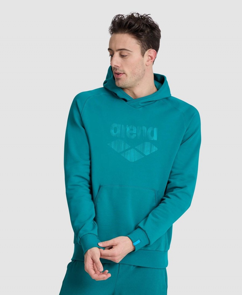 Arena Logo Hooded Sweatshirt Gröna | DBR55U-746