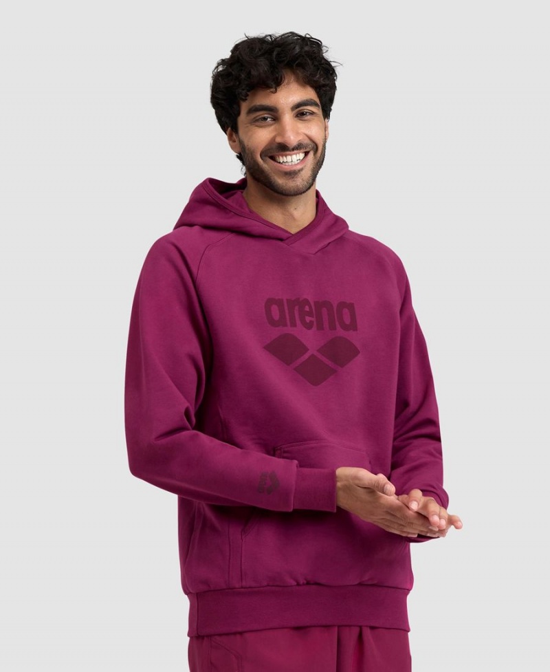 Arena Logo Hooded Sweatshirt Vinröda | DAV80K-556