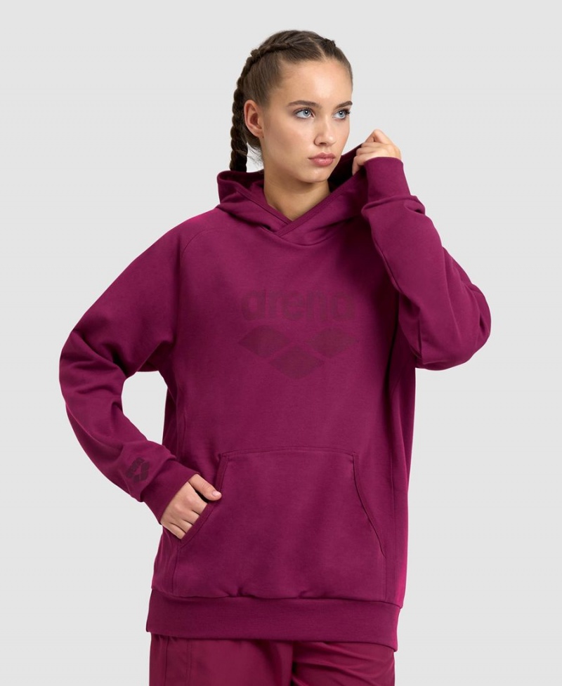 Arena Logo Hooded Sweatshirt Vinröda | DAV80K-556