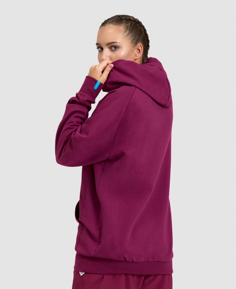 Arena Logo Hooded Sweatshirt Vinröda | TRL77R-769