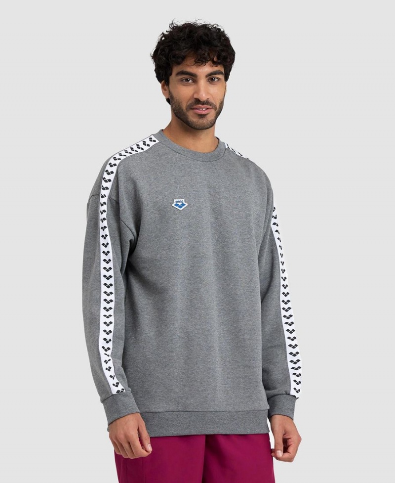 Arena Oversized Team Sweatshirt Grå Vita | MEK03Z-713