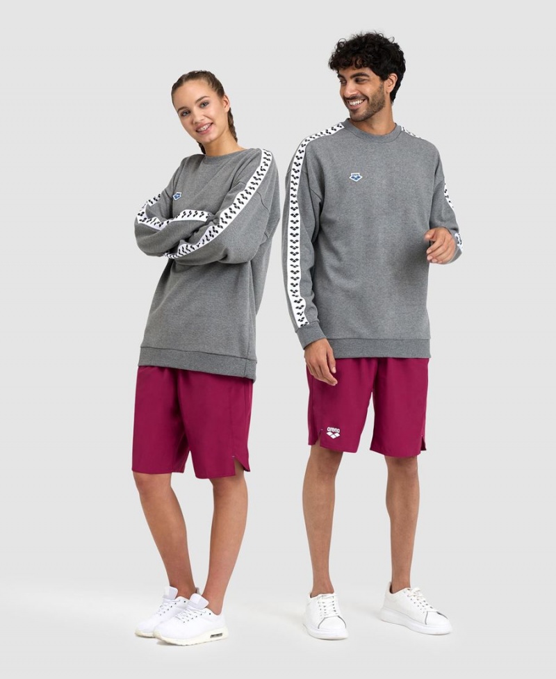 Arena Oversized Team Sweatshirt Grå Vita | MEK03Z-713