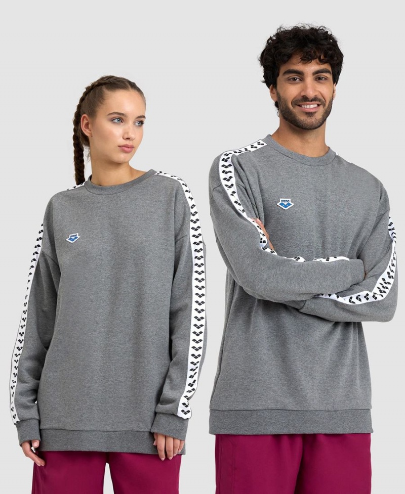 Arena Oversized Team Sweatshirt Grå Vita | MEK03Z-713