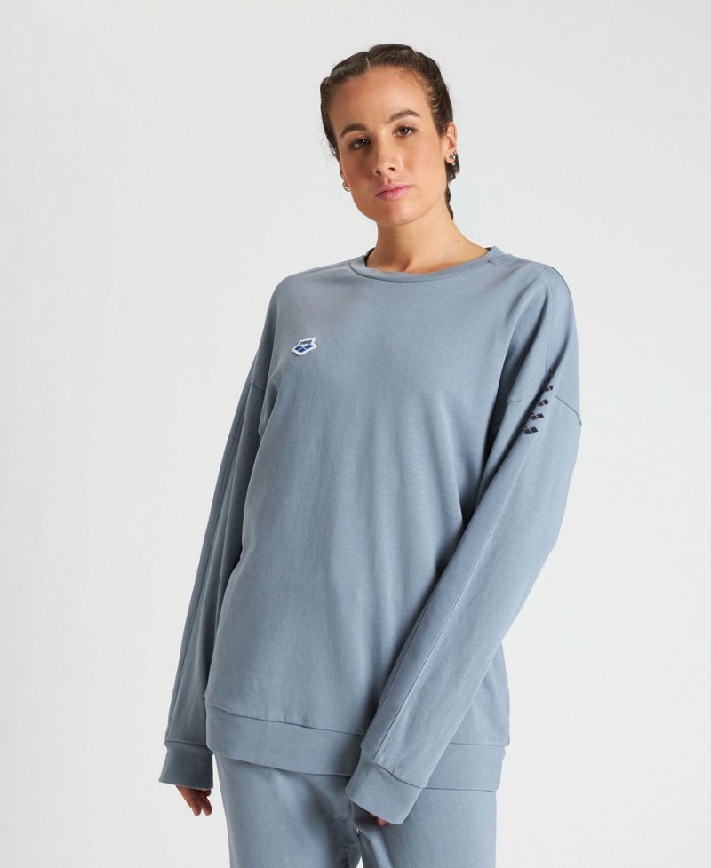 Arena Oversized Team Sweatshirt Grå | NXW20W-150