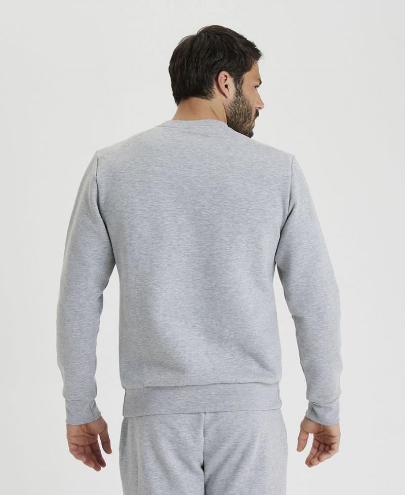 Arena Solid Crewneck Sweatshirt Grå | AOC85G-291