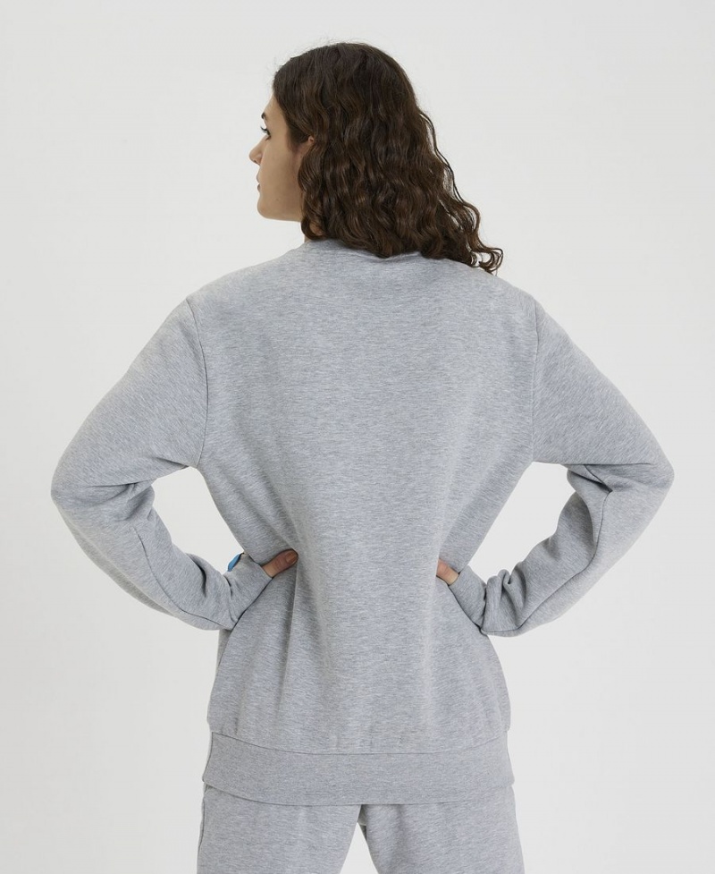 Arena Solid Crewneck Sweatshirt Grå | AOC85G-291