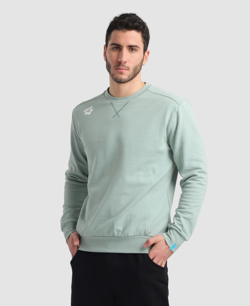 Arena Solid Crewneck Sweatshirt Gröna | VEW21N-487