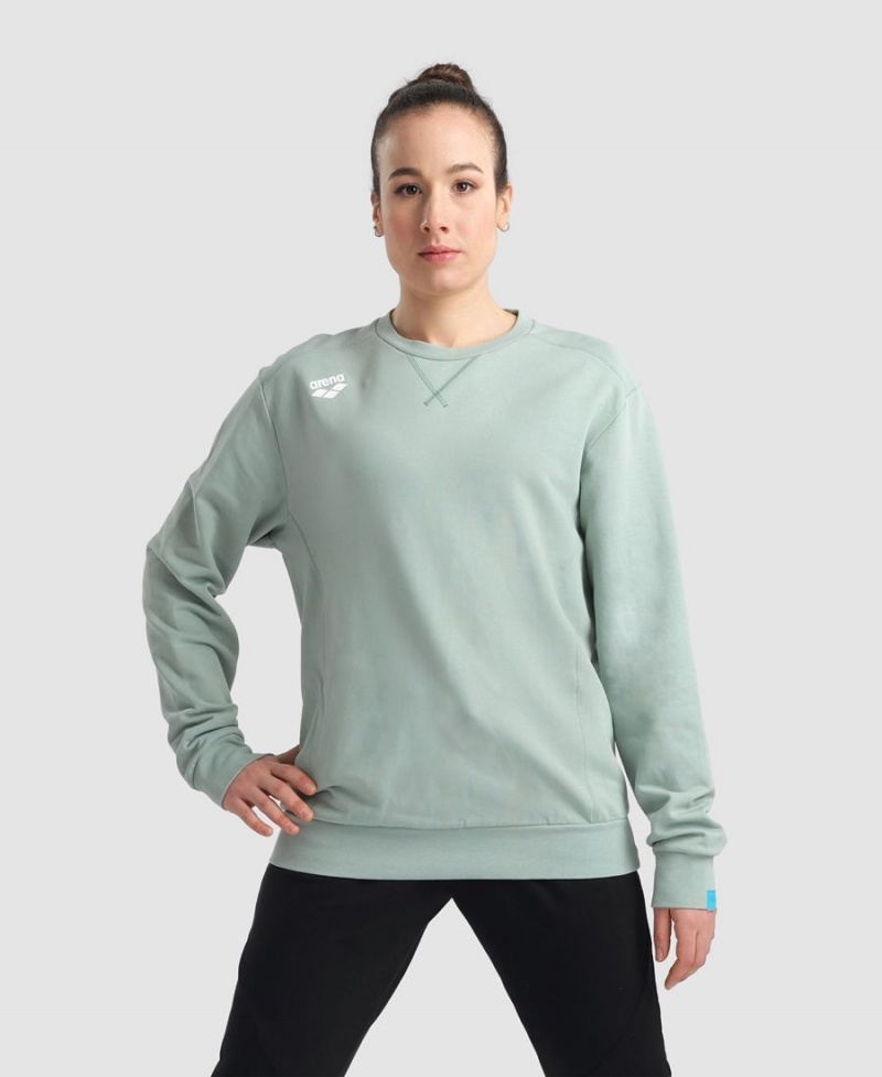 Arena Solid Crewneck Sweatshirt Gröna | VEW21N-487