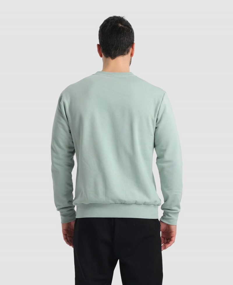 Arena Solid Crewneck Sweatshirt Gröna | VEW21N-487