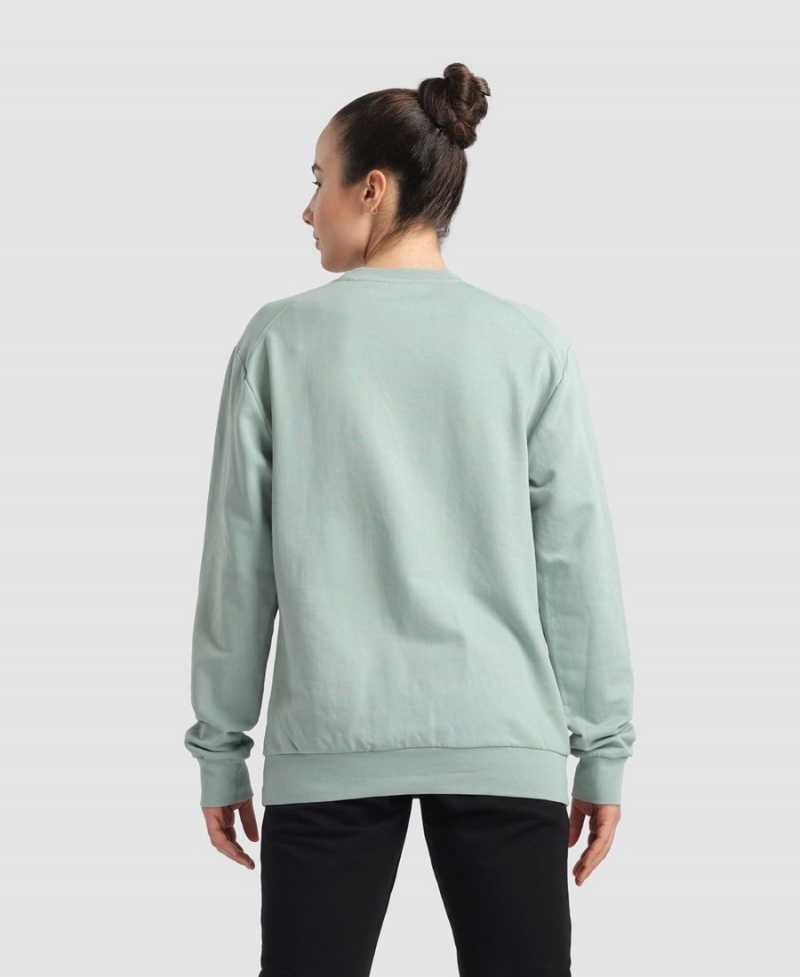 Arena Solid Crewneck Sweatshirt Gröna | VEW21N-487