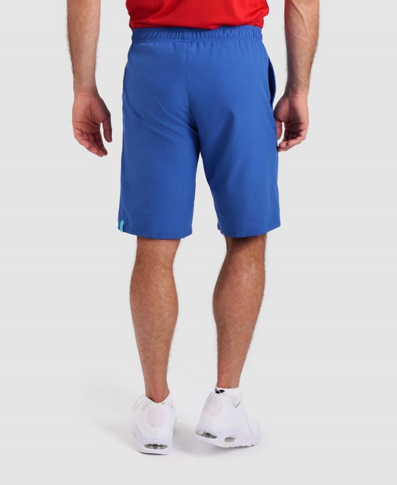 Arena Team Bermuda Shorts Blå | GRM82X-727