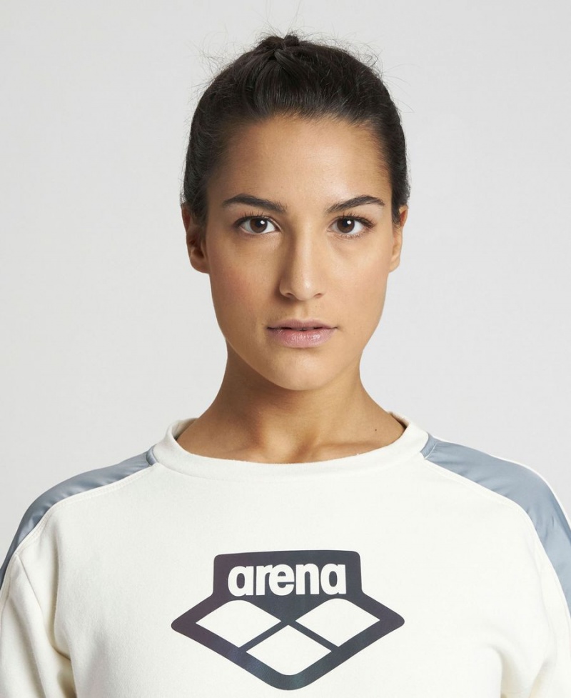 Arena Team Crew Neck Sweatshirt Vita Grå | LXN35F-840