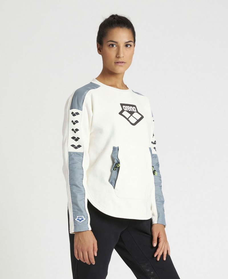 Arena Team Crew Neck Sweatshirt Vita Grå | LXN35F-840