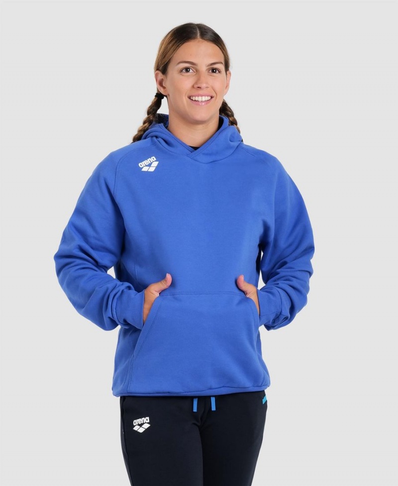 Arena Team Hooded Panel Sweatshirt Blå | PTQ07M-699