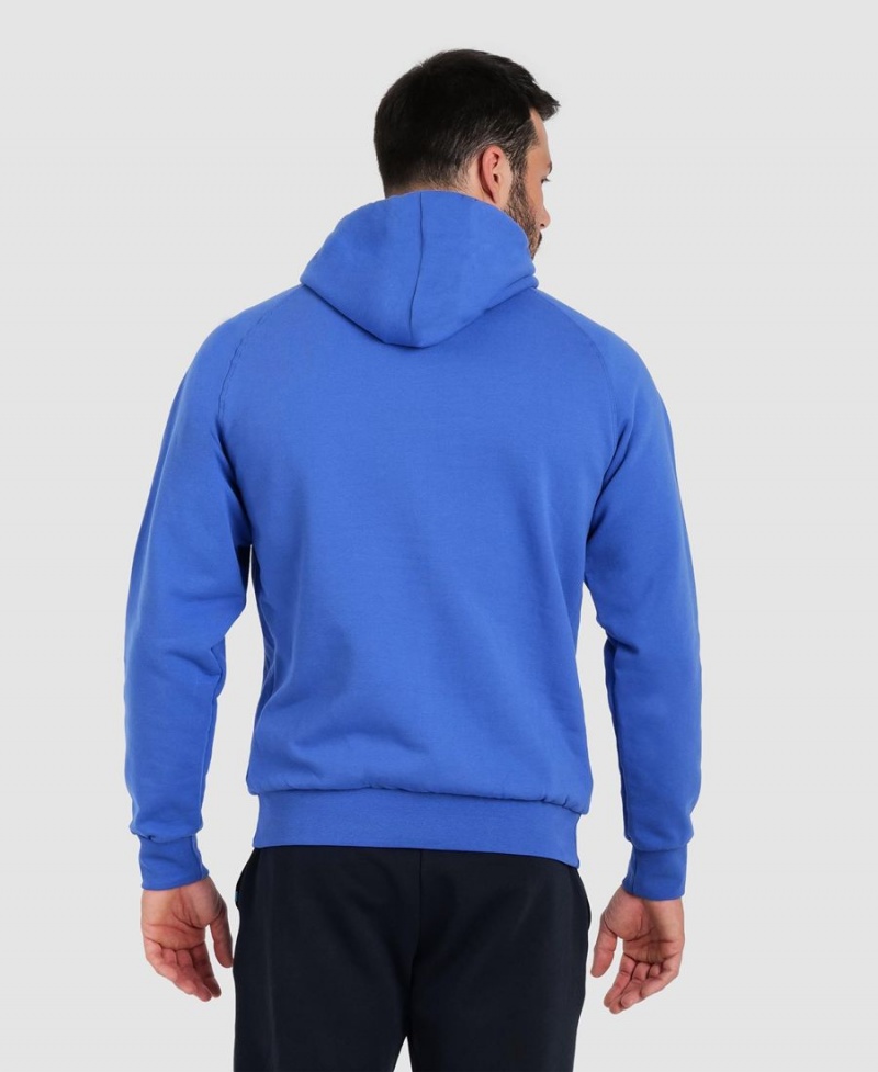 Arena Team Hooded Panel Sweatshirt Blå | PTQ07M-699