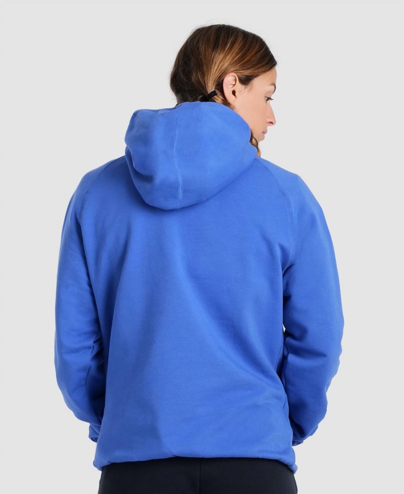 Arena Team Hooded Panel Sweatshirt Blå | PTQ07M-699