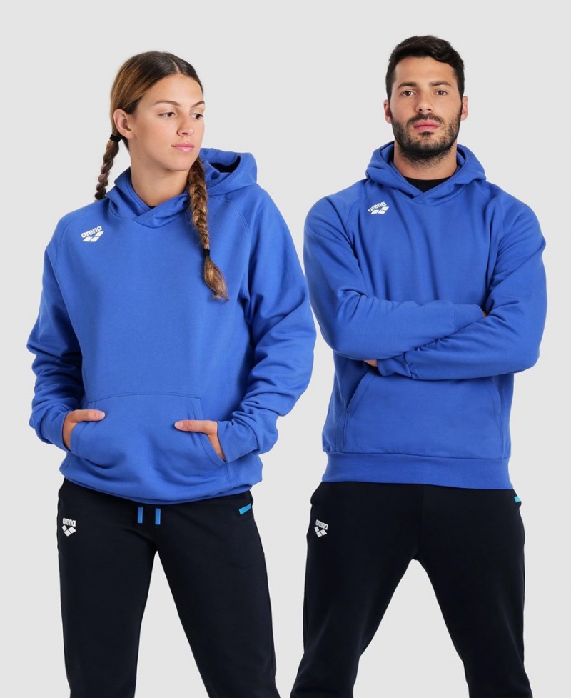 Arena Team Hooded Panel Sweatshirt Blå | PTQ07M-699