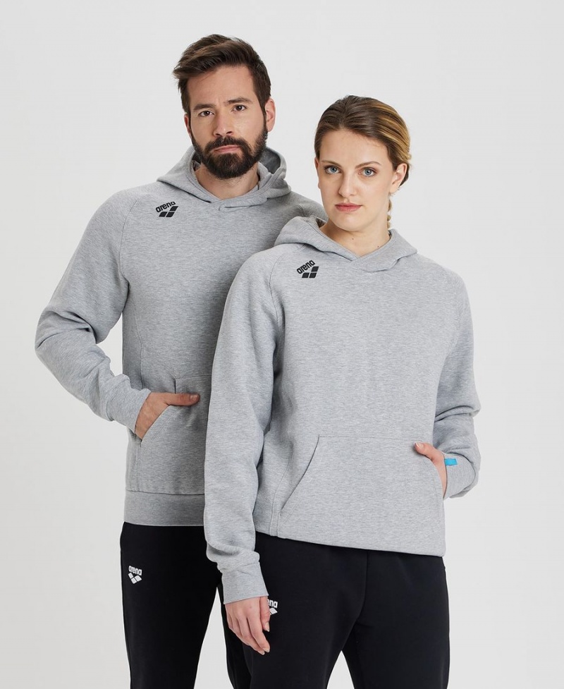 Arena Team Hooded Panel Sweatshirt Grå | ACS34K-131