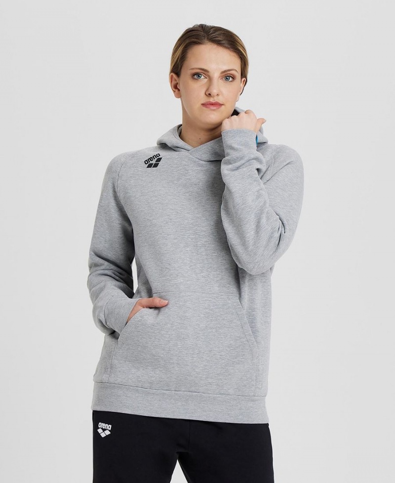 Arena Team Hooded Panel Sweatshirt Grå | VBO02M-030