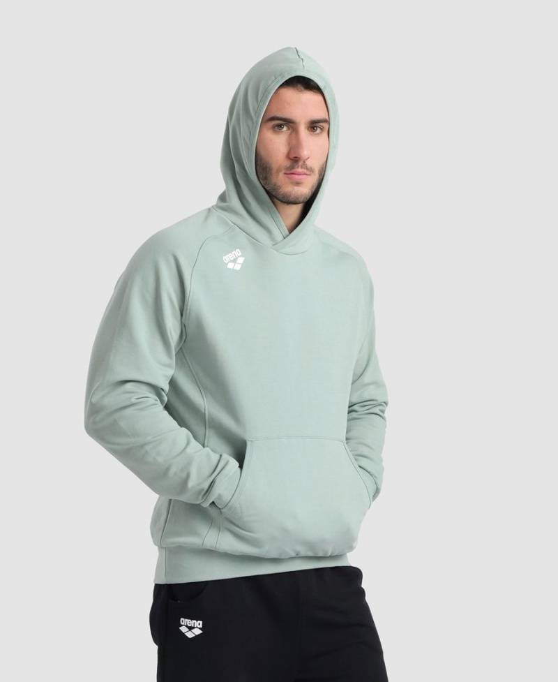 Arena Team Hooded Panel Sweatshirt Gröna | EPM62L-569