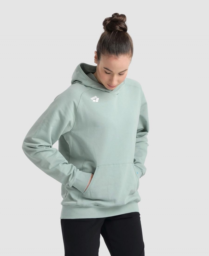 Arena Team Hooded Panel Sweatshirt Gröna | EPM62L-569