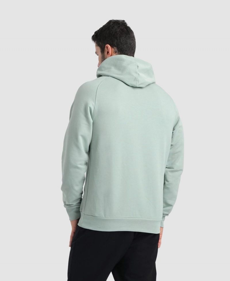 Arena Team Hooded Panel Sweatshirt Gröna | EPM62L-569