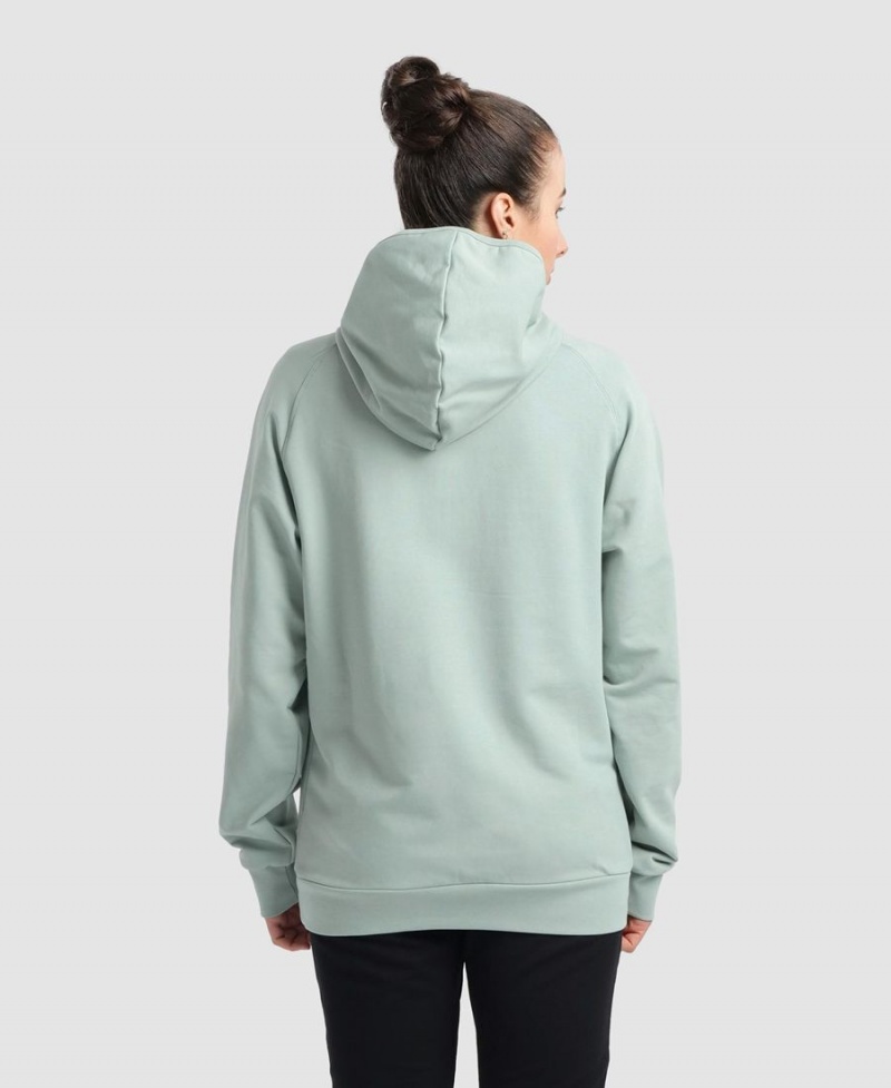 Arena Team Hooded Panel Sweatshirt Gröna | EPM62L-569