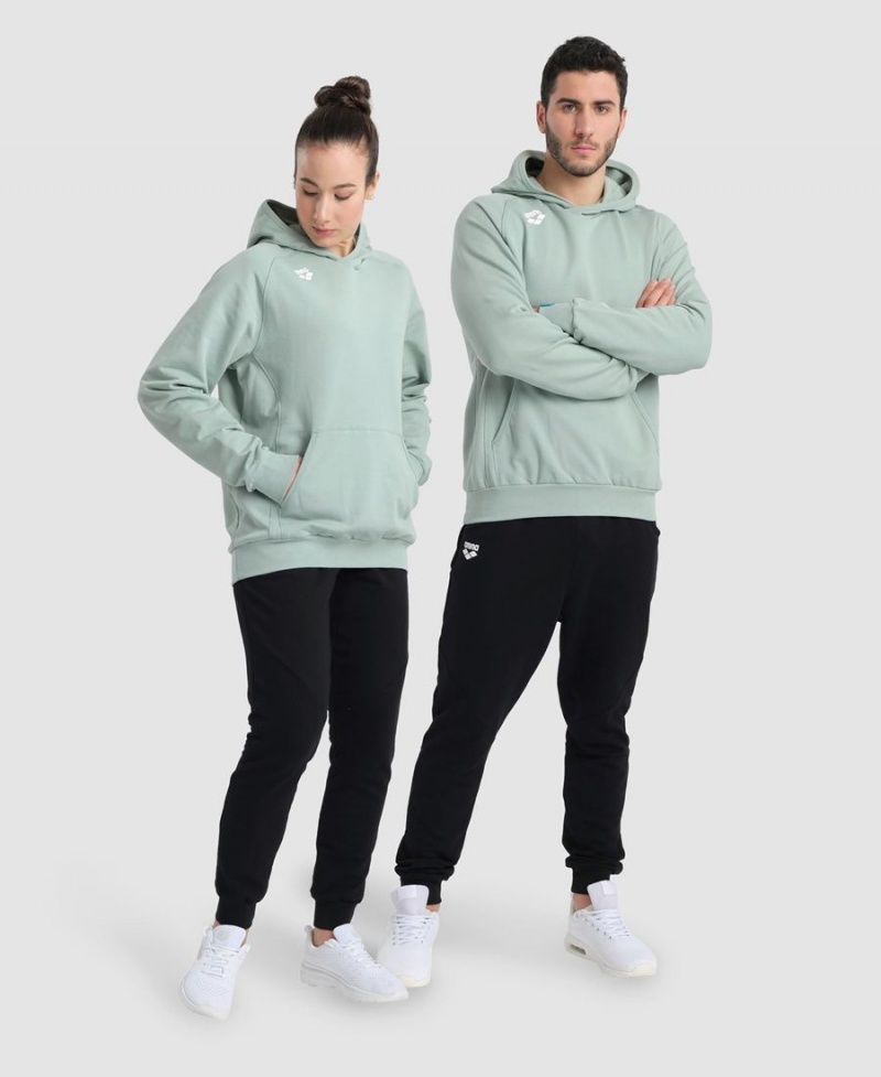 Arena Team Hooded Panel Sweatshirt Gröna | EPM62L-569