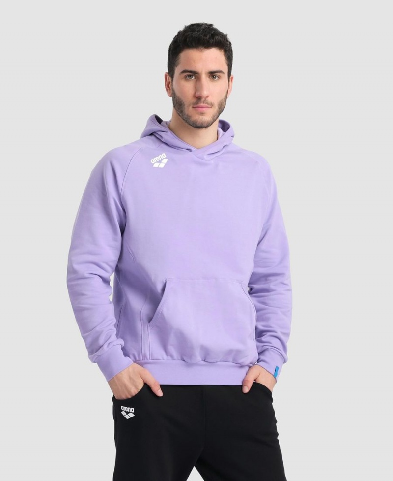 Arena Team Hooded Panel Sweatshirt Lila | FEH47N-969