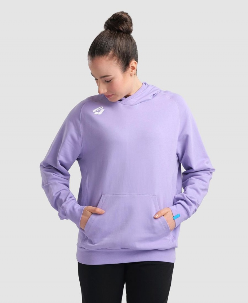 Arena Team Hooded Panel Sweatshirt Lila | FEH47N-969