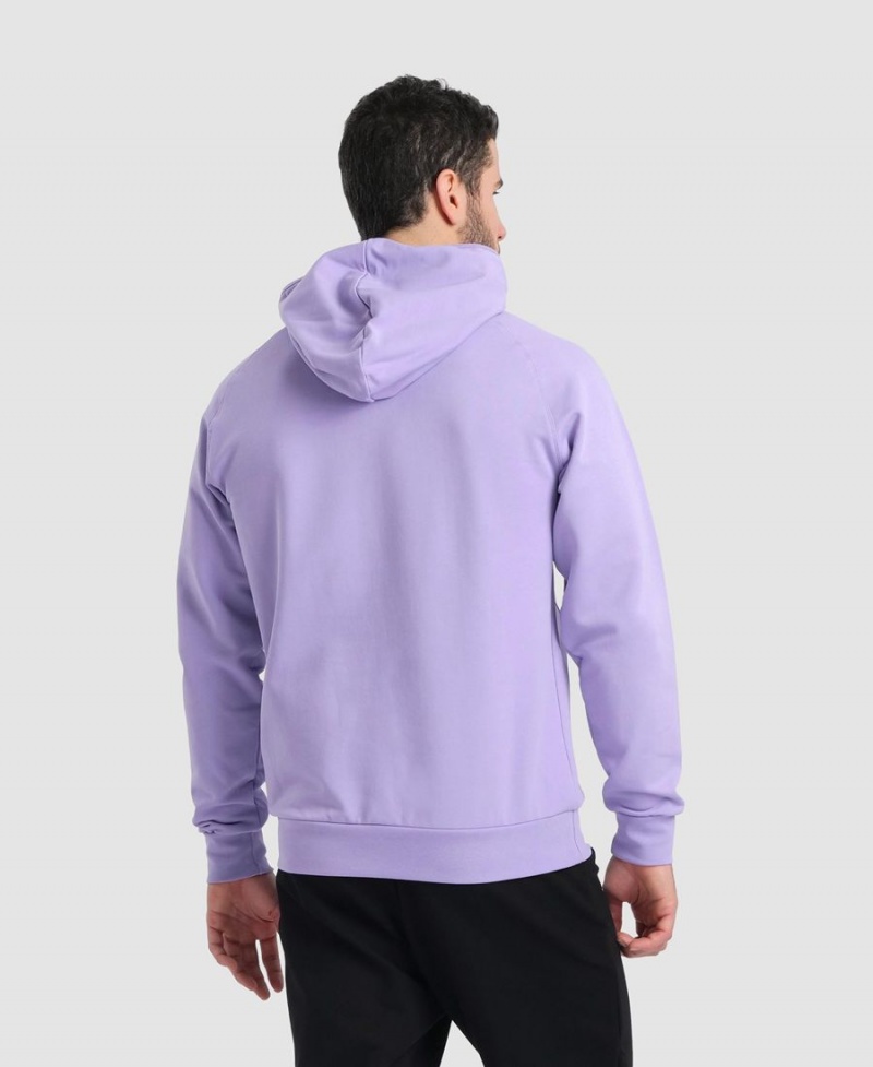 Arena Team Hooded Panel Sweatshirt Lila | FEH47N-969