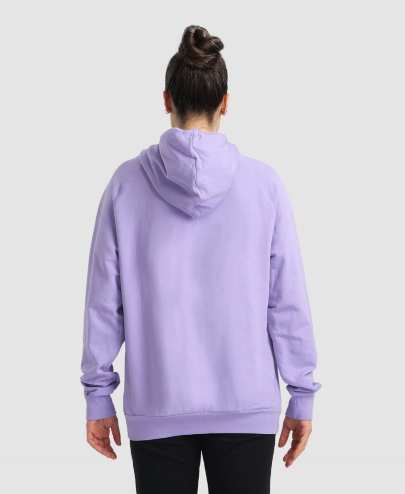 Arena Team Hooded Panel Sweatshirt Lila | FEH47N-969