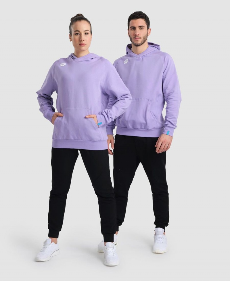 Arena Team Hooded Panel Sweatshirt Lila | FEH47N-969