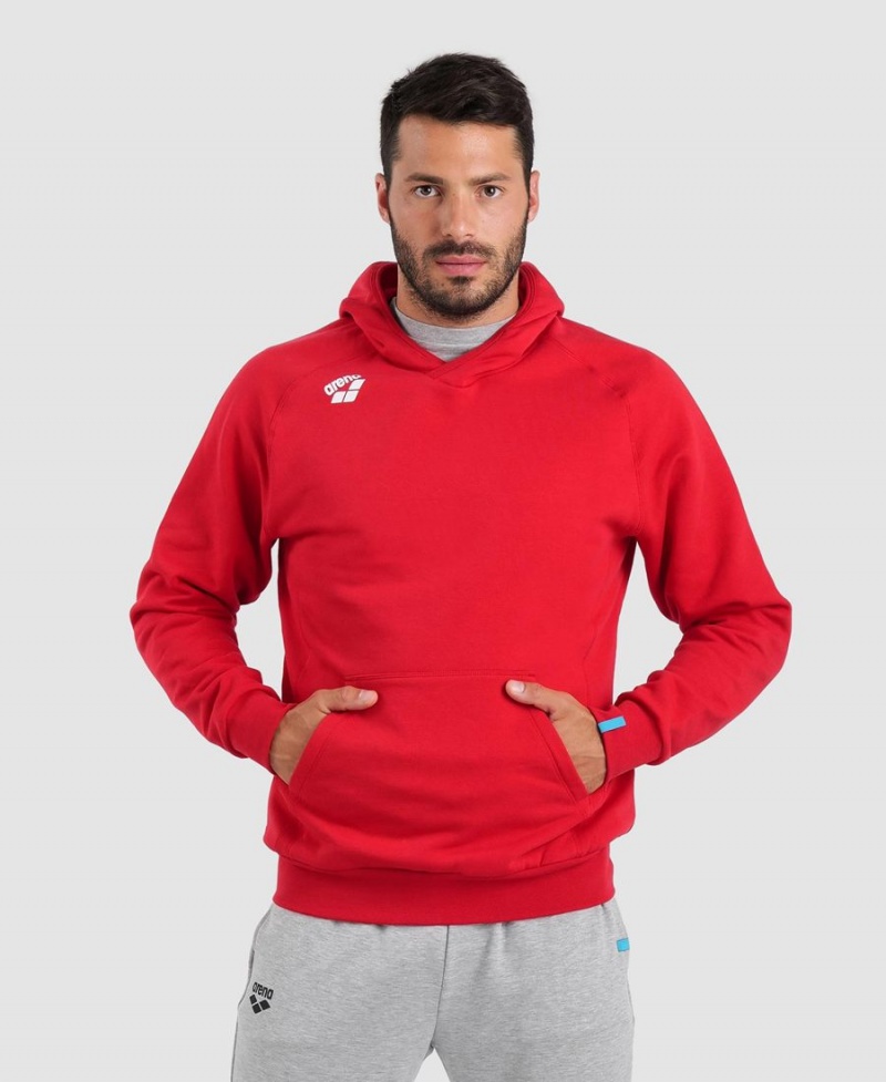 Arena Team Hooded Panel Sweatshirt Röda | VLM97Q-461