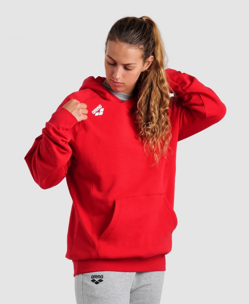 Arena Team Hooded Panel Sweatshirt Röda | VLM97Q-461