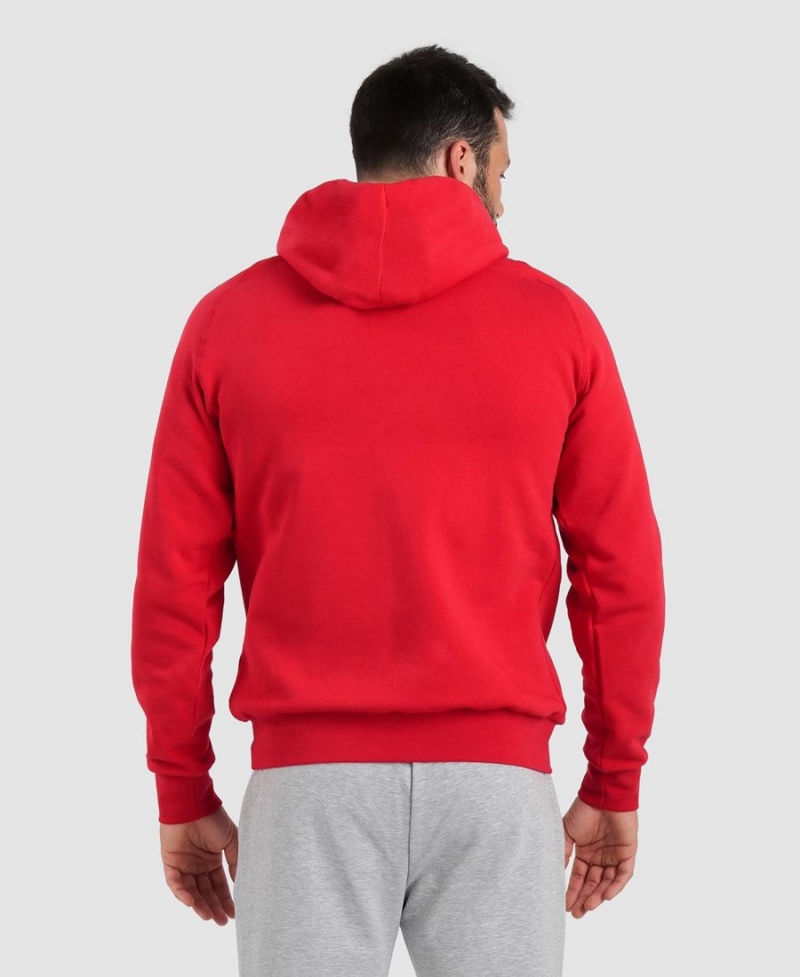 Arena Team Hooded Panel Sweatshirt Röda | VLM97Q-461