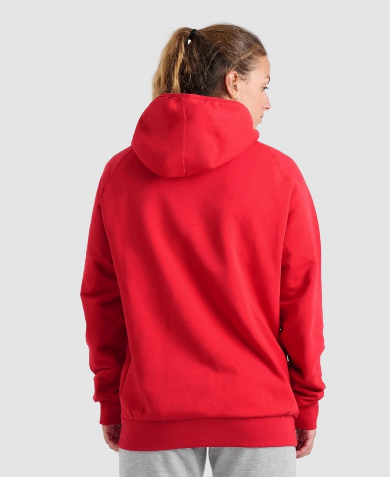 Arena Team Hooded Panel Sweatshirt Röda | VLM97Q-461