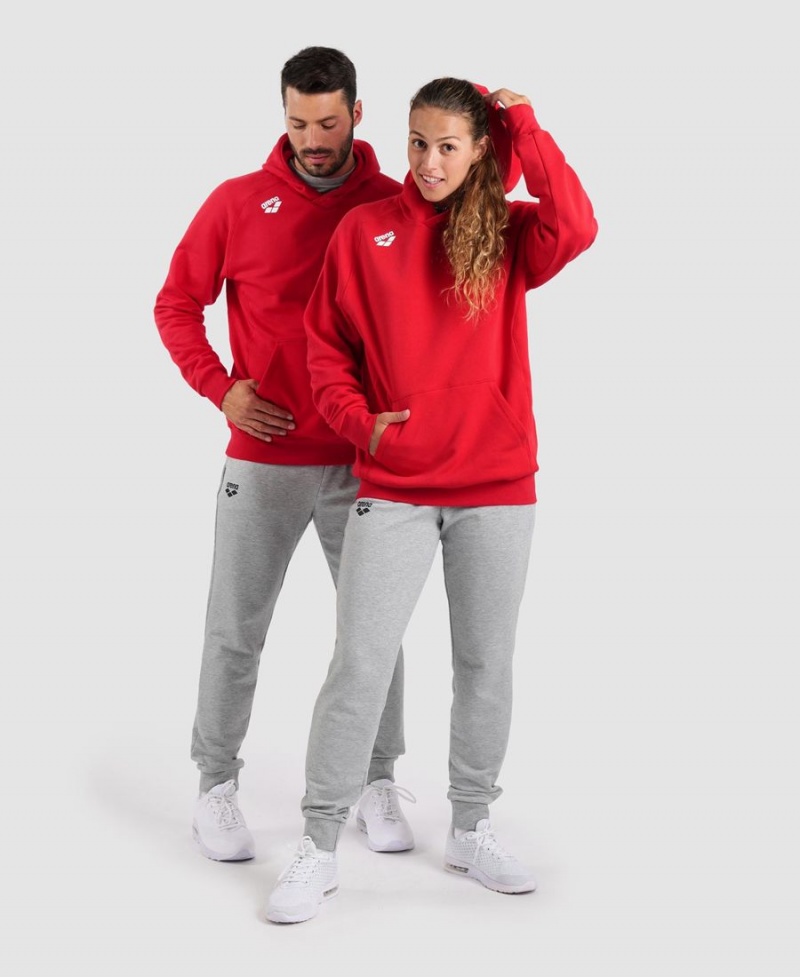 Arena Team Hooded Panel Sweatshirt Röda | VLM97Q-461