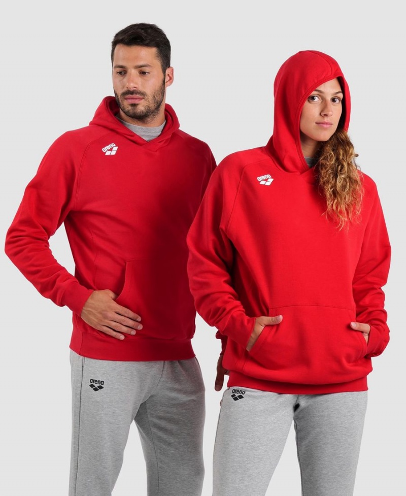 Arena Team Hooded Panel Sweatshirt Röda | VLM97Q-461