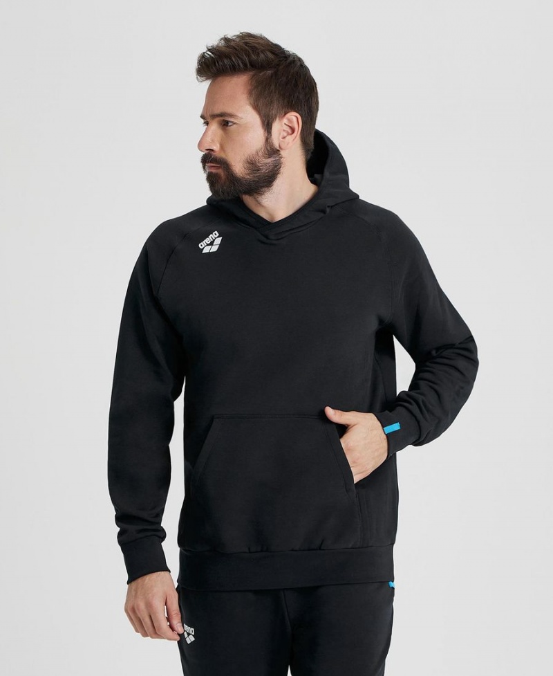 Arena Team Hooded Panel Sweatshirt Svarta | BAT36Z-711