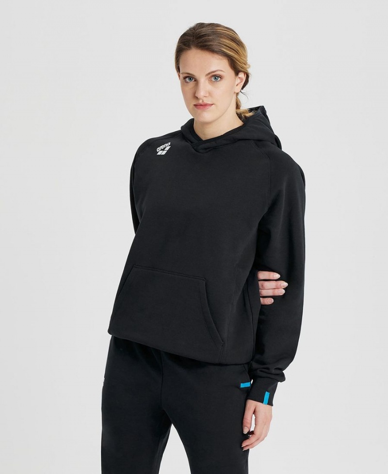 Arena Team Hooded Panel Sweatshirt Svarta | BAT36Z-711