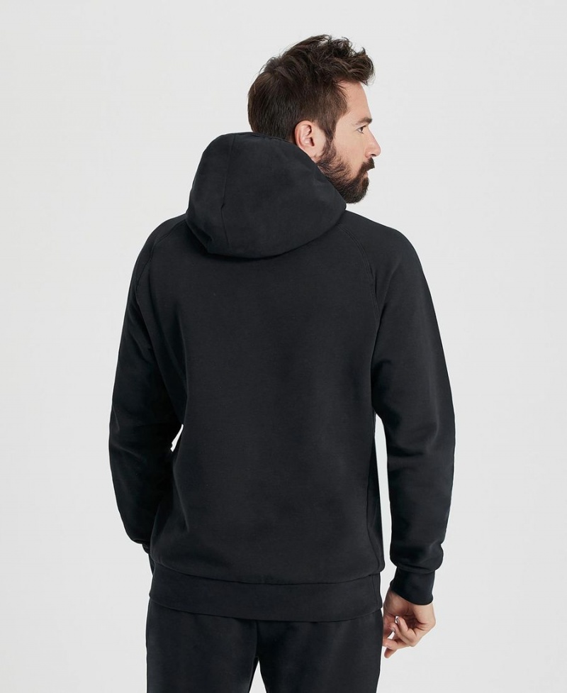 Arena Team Hooded Panel Sweatshirt Svarta | BAT36Z-711