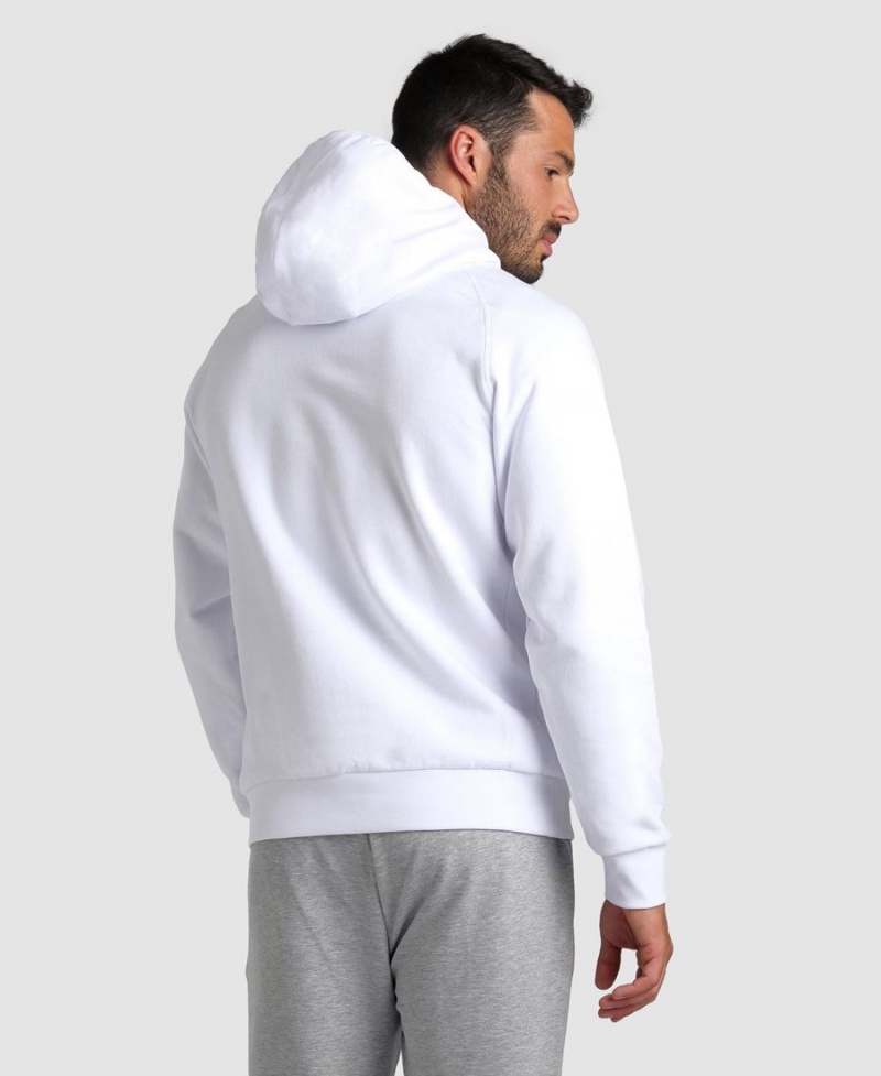 Arena Team Hooded Panel Sweatshirt Vita | EJM75F-906