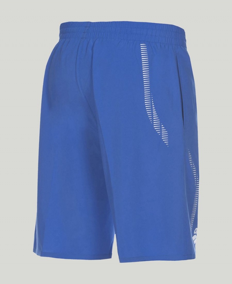 Arena Team Line Bermuda Shorts Blå | KHS36E-474