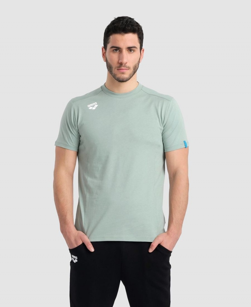 Arena Team Panel T-Shirt Gröna | PUG35W-941