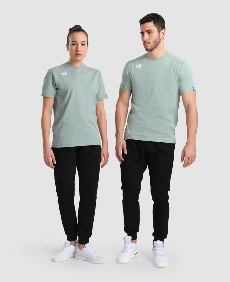 Arena Team Panel T-Shirt Gröna | PUG35W-941