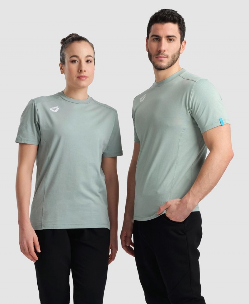 Arena Team Panel T-Shirt Gröna | UUX52T-663