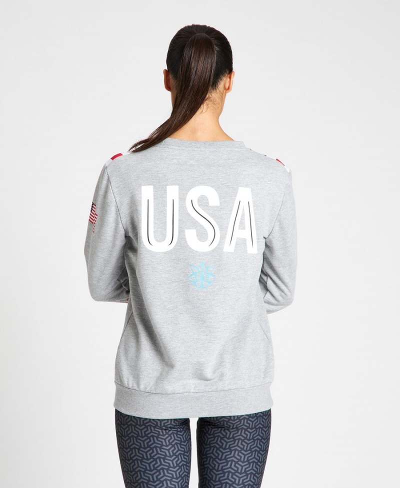 Arena USA Swimming Team Crewneck Sweatshirt Grå | GKH14Z-460