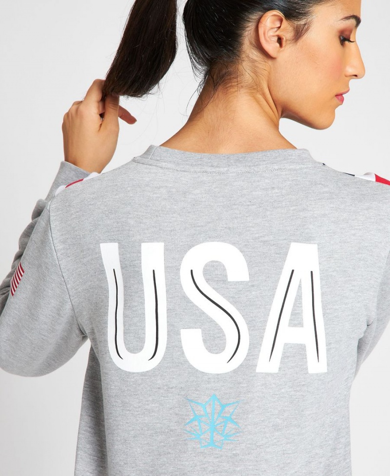 Arena USA Swimming Team Crewneck Sweatshirt Grå | GKH14Z-460