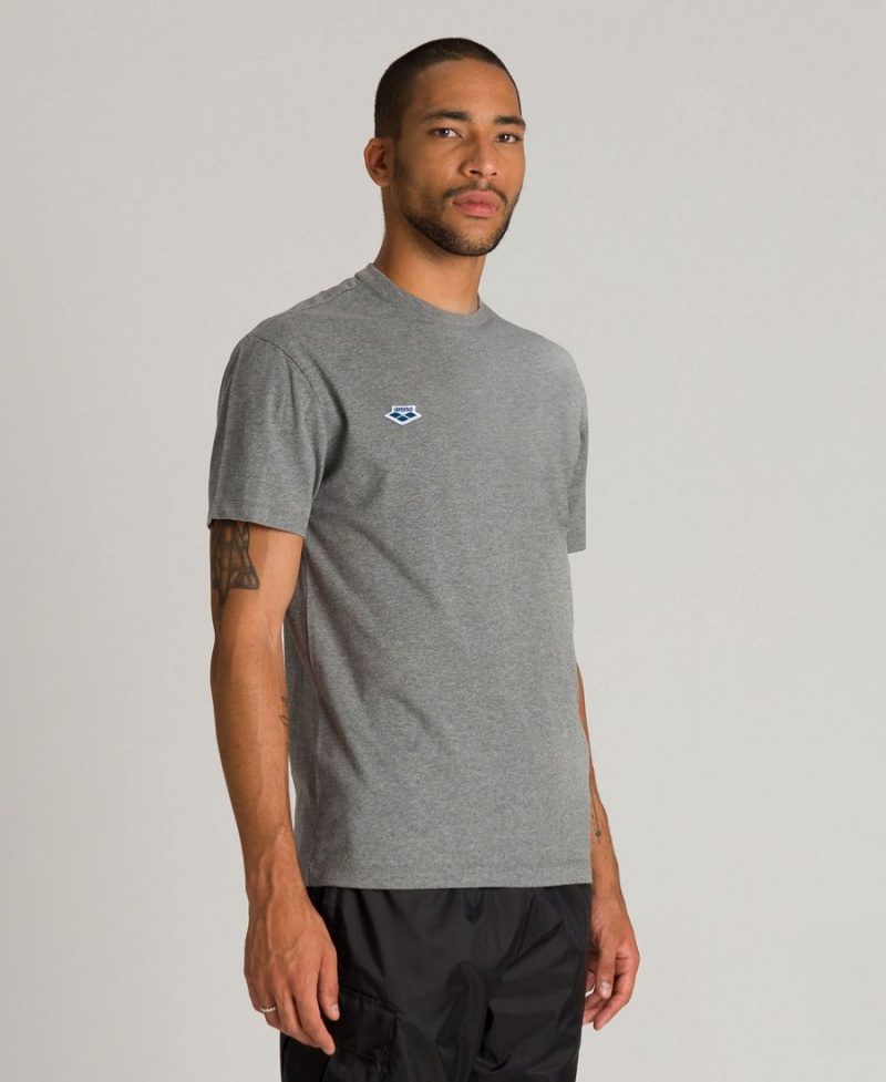 Arena Uni T-Shirt Grå | LCU24R-160